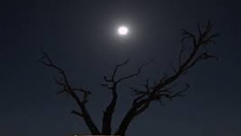 Firebite - Season 01 Episode 02